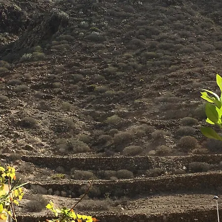 Sol Cristianos