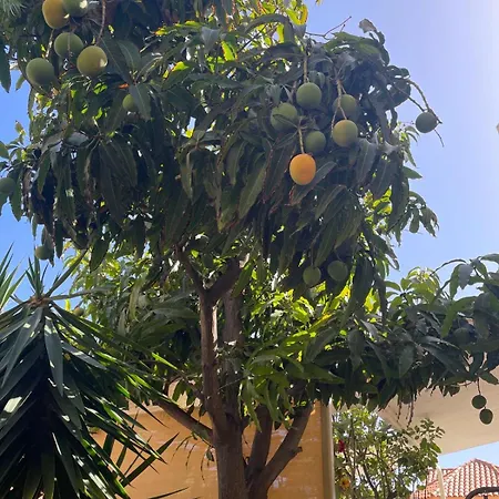 Villa Sol Cristianos *
